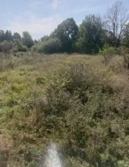 Земельный пай площадью 7925976 м² в Орловской области, Шаблыкинский район, сельское поселение Навлинское, село Навля. Кадастровый номер: 57:04:0000000:36. Категория земель: сельскохозяйственного назначения. Вид разрешенного использования: для сельскохозяйственного производства. Доля в праве общей…