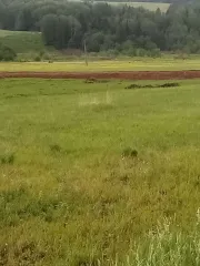 1/394 доли земельного участка для возделывания сельскохозяйственных культур. Кадастровый номер: 02:54:000000:182. Местоположение установлено относительно ориентира в границах участка. Почтовый адрес ориентира: Республика Башкортостан, р-н. Янаульский, с/с. Староваряшский. Площадь: 19 700 000 м².