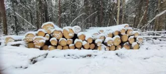 Годные остатки: древесина породы «ель», 438,41 куб. м. Реализуется в качестве годных остатков, а также в качестве вторичного сырья, лома, утиля. Описание лота см. в разделе "документы" п. 3 извещения (информационного сообщения). Имущество продается в том виде, в каком оно есть, и в случае продажи…