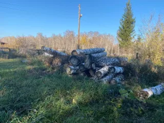 Дрова швырок объемом 9м3; Колотые дрова объемом 5 м3; Дрова швырок объемом 5 м3; Дрова швырок объемом 6 м3; Дрова - швырок 4м3. Дрова швырок объемом 9м3; Колотые дрова объемом 5 м3; Дрова швырок объемом 5 м3; Дрова швырок объемом 6 м3; Дрова - швырок 4м3. Реализация как годные остаки. Имущество…