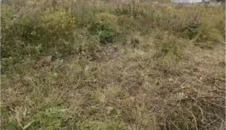 Земельный участок площадью 961 кв.м. Адрес: Самарская область, г. Самара, ул. Северная, уч.50. Кадастровый номер: 63:01:0345006:589. Находится в долевой собственности, размер доли: 1/2.