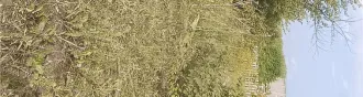 Земельный участок с кадастровым номером 72:01:0104001:594, площадью 493 +/  16 кв. м, расположенный по адресу: Тюменская область, Абатский район, территория СНТ «Строитель», ул. № 7, участок 18, с расположенным на нем кирпичным строением  дачный дом  площадью 16 кв. м. Земельный участок с…