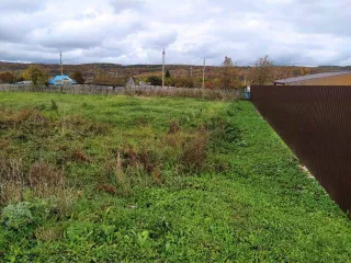 Право аренды земельного участка площадью 1425 кв.м для ведения личного подсобного хозяйства в Башкортостане. Категория земель: земли населенных пунктов. Адрес: Республика Башкортостан, Бирский район, Сусловский сельсовет, село Малосухоязово, улица Полевая, дом 2. Кадастровый номер…