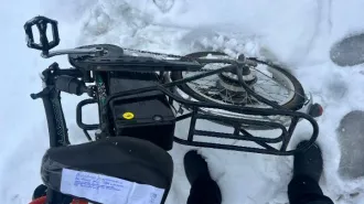 Электровелосипед wellness simple 350w
