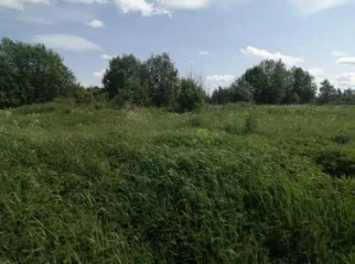 Земельные участки 705 кв.м и 705 кв.м и 705 кв.м Ярославская область Земельный участок в Ярославской области, 705 кв.м. Земельный участок в Ярославской области, 705 кв.м. Земельный участок, площадью 705 кв.м., по адресу: Ярославская область, Гаврилов-Ямский р-н, с/п Заячье-Холмский, с. Унимерь, с…
