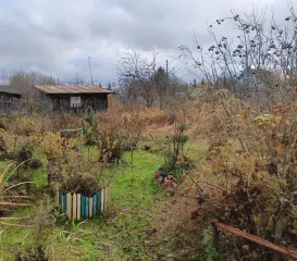 Земельный участок, кадастровый (условный) номер 35:10:0306005:117. Место нахождения: Российская Федерация, Вологодская область, муниципальный округ Великоустюгский, деревня Куликово, территория СНТ Северянка, проезд 5-й, земельный участок 116, площадью 483 +/-8, Здание; Садовый дом, количество…