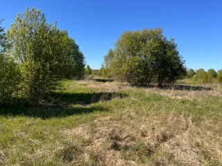 Земельный участок площадью 1891389 кв.м., кад. № 12:03:0202001:73, расположенный по адресу: РМЭ, Килемарский район, в восточной части кад.квартала №12:03:0202001 Вид разрешённого использования земельного участка: 1.0