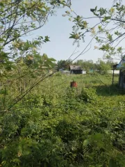 Садовый дом 9,6 кв.м и земельный участок 540 кв.м в Вологде. Нежилой объект недвижимости, садовый домик, кадастровый номер 35:24:0302013:706, расположенный по адресу: Вологодская область, г. Вологда, садоводческое товарищество «Железнодорожник», дорожка № 4, участок № 50, площадью 9,6 кв. м…