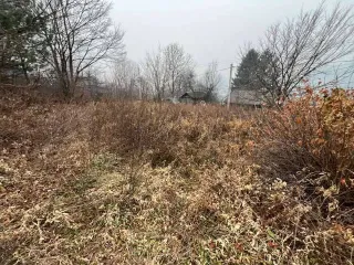 Требование к ООО "Ромашка" 1,5 млн руб