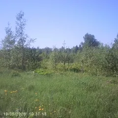 Земельный участок 534 кв.м, с. Белая Колпь, Московская область, муниципальный округ Шаховская, с. Белая Колпь - примерная площадь 534 кв.м., категория – земли населенных пунктов, расположен по адресу: Российская Федерация, Московская область, м.о. Шаховская, с. Белая Колпь, кадастровый квартал…