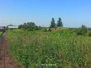 Земельный участок площадью 3982 м2 и жилой дом площадью 35.3 м2, расположенные по адресу: Республика Башкортостан, Чишминский район, сельское поселение Новотроицкий сельсовет, деревня Александровка, улица Полевая, дом 9. Кадастровый номер участка: 02:52:100201:22, кадастровый номер дома…