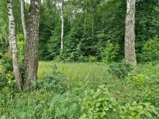 Земельный участок 1200 кв.м, КН 50:33:0030429:748, площадь 1200, кадастровый номер 50:33:0030429:748, основной вид разрешенного использования 2.2