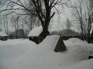 Здания и земельный участок общей площадью 1176 кв.м в Москве. Нежилое здание, кадастровый номер: 77:18:0170804:78, площадью 150,4 кв.м, адрес: г. Москва, поселение Марушкинское, квартал 116, владение 56, стр. 1. Нежилое здание, кадастровый номер: 77:18:0170707:399, этажность 1, площадь 16,6 кв.м…