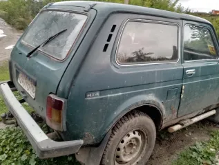 ВАЗ 21213 2000 года выпуска, VIN: XTA212130Y1487902, госномер: К247ТО 716RU.