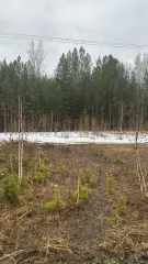 Земельный участок 14836 +/- 85 кв.м, Тюменская область, тер. Салаирское СТОО, к.н: 72:17:2006002:510. Вид разрешенного использования: для сельскохозяйственного производства.