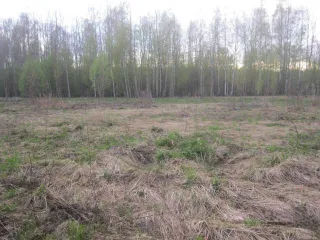 Земельный участок в Нижегородской обл., 1267 кв.м., категория земель земли населенных пунктов, виды разрешенного использования объекта недвижимости для ведения личного подсобного хозяйства, кадастровый номер: 52:15:0120103:14, пл. 1267 кв. м., находящийся по адресу: Нижегородская обл., р-н…