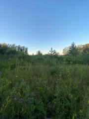 Жилой дом 203,2 кв.м, участок 2122 кв.м, Челябинская область. Кадастровый номер дома: 74:07:1000014:390, участка: 74:07:1000014:35. Объект может быть приобретен с использованием заемных средств ПАО Сбербанк.