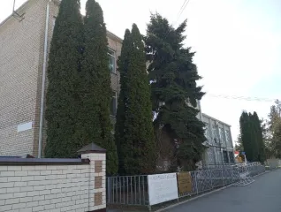 Объект аренды, площадь 11,8 кв. м., номер на поэтажном плане 3 этажа: 15,   адрес (местонахождение) объекта: Российская Федерация, Карачаево-Черкесская Республика, Хабезский район, а. Хабез, ул. У. Хабекова, д. 89 Косметический ремонт 
Кадастровый номер объекта недвижимости (здания, сооружения), в…