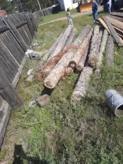 Лиственница и сосна 19 шт. Сырорастущая древесина породы лиственница в виде бревен. Сортимент древесины породы лиственница 2 шт. и сортимент древесины породы сосна 11 шт. Сортимент древесины деревьев породы сосна (перечень в документации). Имущество продается в том виде, в каком оно есть, возврату…