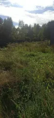 Земельный участок, кадастровый номер 50:18:0090609:2352, 800 кв.м., адрес: Московская область, Можайский район, поселение Борисовское, расположен в центральной части кадастрового квартала 50:18:0090609.