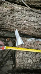 Верхушки Х32-Х39 8 штук.