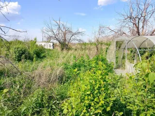 Конечно, пришлите текст объявления, и я его оптимизирую согласно вашим требованиям.