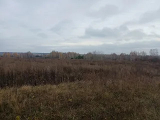 Земельный участок площадью 820 кв.м. Адрес: Россия, Республика Татарстан, Надеждинское сельское поселение, Пестречинский муниципальный район, СНТ "Петрово", участок 4-2. Кадастровый номер: 16:33:211113:214. Ознакомиться с имуществом можно с момента публикации до окончания приема заявок по будням с…