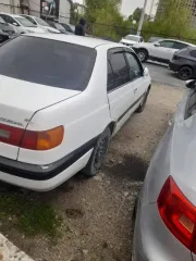 Toyota Corona, 1997 года, 73 лс, 300000 км, АКПП еще Transportnoe sredstvo (predmet zaloga): Marka: Toyota Corona Premio God vypuska: 1997 VIN: Otsutstvuet Kuzov (kabina, pricep): AT2110060143 Tsvet: Belyy PTS: Otsutstvuet Gos.nomer: N389AK48 Svidetelstvo o registratsii TS: seriya 9911684453