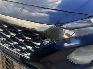 Hyundai Santa Fe 2019 г.в., VIN: XWES381DDL0003277.