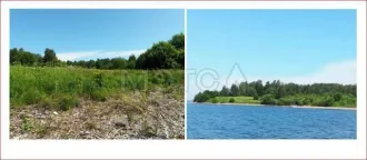 Земельный участок 19000+/-381 кв.м. для сельскохозяйственного использования в Вытегорском районе Вологодской области, кадастровый номер 35:01:0301004:213. Расположен примерно в 1350 м на северо-восток от здания новой часовни по адресу Вологодская обл., Вытегорский р-н, с/п Казаковское, д. Голяши…