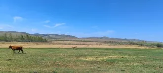 Земельный участок 213000 кв.м, Забайкальский край, Дульдургинский район, категория земель: земли сельскохозяйственного назначения, виды разрешённого использования: для производства сельскохозяйственной продукции, расположенный по адресу: Местоположение установлено относительно ориентира…