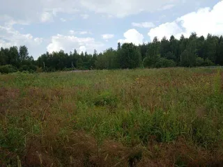 Земельный участок 2500 кв.м ИЖС Вологодская область кадастровый номер 35:22:0208001:357 площадью 2500 +/- 35 кв.м расположен по адресу Вологодская область Череповецкий район Ягницкий сельсовет деревня Пленишник Разрешенное использование под ИЖС