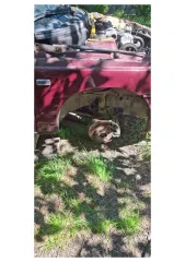 ВАЗ 21101 2005 Автомобиль марки ВАЗ модель 21101 2005 г.в. VIN XTA21101050854221. Ознакомление с имуществом производится по предварительному согласованию с финансовым управляющим по электронной почте: rudnichenko.torg2025@yandex.ru либо по телефону +7(913) 211-68-32. Транспортное средство…