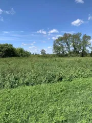 Земельный участок 45:21:040301:395, 328000 м², Курганская обл., р-н Шатровский, с Камышевка, основной вид разрешенного использования: 1.7, кадастровый номер: 45:21:040301:395, площадь: 47813.