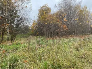 Земельный участок 1026 кв.м с КН 50:35:0040401:1550 Площадь земельного участка 1026 Кадастровый номер земельного участка 50:35:0040401:1550 Вид разрешённого использования земельного участка 2.1