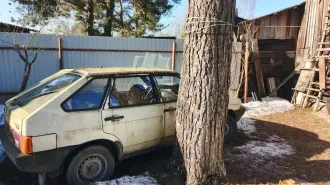 ВАЗ 21093, 1995 легковой автомобиль, марка: ВАЗ, модель: 21093, год изготовления: 1995, цвет: светло-бежевый, VIN: XTA210930T1797819, г/н: О672КТ60, вид собственности: индивидуальная (со слов владельца легковой автомобиль находится в залоге ООО МКК «Корона». В случае покупки, статус залога…