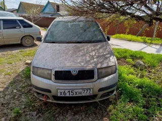 Шкода Фабия 2005 года VIN TMBJY16Y454349744