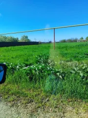 Земельный участок 2000 м² Краснодарский край Земельный участок под ИЖС, кадастровый номер: 23:08:0704060:357, площадь: 2000+/-16, собственность, Краснодарский край, Ейский муниципальный район, Камышеватское сельское поселение, ст. Камышеватская, ул.Красная, д.10Г.