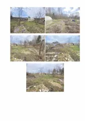 Земельный участок в Ивановской обл., 384 кв.м, категория земель: земли сельскохозяйственного назначения, разрешенное использование: для садоводства, площадь 384 кв. м., кадастровый номер: 37:05:021224:7, адрес (местонахождение) объекта: Ивановская обл., Ивановский район, СНТ «Зеленая роща у пруда»…