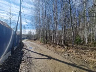 Право аренды земельного участка 1500 кв.м, Нижневартовск, СОНТ «Нефтяник». Право заключения договора аренды земельного участка площадью 1500 кв.м с кадастровым номером 86:11:0905001:4443, адрес (местоположение): Российская Федерация, Ханты-Мансийский автономный округ – Югра, городской округ…