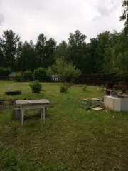 Земельный участок 1060 кв.м, Забайкальский край, для садоводства, кадастровый (условный) номер 75:22:650709:26, виды разрешенного использования объекта недвижимости: для садоводства, площадью 1060 к.в., место нахождения: местоположение установлено относительно ориентира, расположенного в границах…