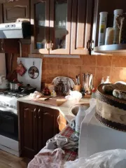 Квартира 66,7 м², 3 комн., Орловская обл. Жилое помещение (квартира) общей площадью 66,7 кв.м., кадастровый № 57:10:1910203:1321, расположенная по адресу: Орловская обл., Орловский район, п.г.т. Знаменка, ул. Ленина, д. 11, кв. 40 (1/2 доли в праве общей долевой собственности)
