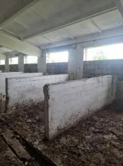 Объект недвижимости по адресу: Приморский край, Партизанский район, с. Новицкое, ул. Матросова, д. 58. В составе: здание кормоцех, кадастровый номер 25:13:020211:1652, назначение нежилое, площадь 271,2 кв.м, этажность 1.