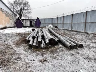 Древесина породы «сибирская лиственница» бревна - 22 шт. (диаметр 120-380 мм, длина 2,6 – 8,6 м.). Древесина породы «сибирская лиственница» бревна - 22 шт. (диаметр 120-380 мм, длина 2,6 – 8,6 м.). 
Количество и породный состав древесины: 22 
