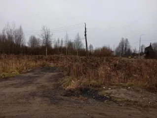 Земельный участок 12793 кв.м в Ленинградской области, Всеволожский район, городской поселок имени Морозова, улица Освобождения, д. 1. Право заключения договора аренды. Кадастровый номер 47:07:1703010:13. Основной вид разрешенного использования: 4.0. Территориальные зоны: publicBusiness.