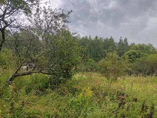 Земельный участок, Кадастровый номер 50:34:0010408:50, Площадь 400 Вид права, доля в праве Собственность, Назначение объекта Для садоводства, Адрес Местоположение установлено относительно ориентира, расположенного в границах участка. Почтовый адрес ориентира: обл.Московская, р н Коломенский, сад…