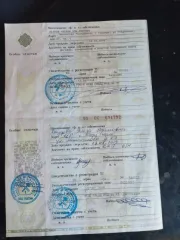 Ford Focus, 2007 года, 125 лс, 350000 км. Легковой автомобиль, марка: Форд, модель: Фокус, год изготовления: 2007, цвет: черный, VIN: X9F5XXEED57M29446, ПТС: 95ОС691792, г/н: В435ХН95, разрешенная максимальная масса 1795 кг, масса без нагрузки 1332 кг. Машина несколько месяцев стоит в гараже…