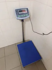 Весы СКЕ 150-4050. Имущество находится по адресу: г. Новосибирск, ул. Фрунзе, 19а.