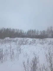 Земельный участок из состава земель населенных пунктов  с кадастровым номером 55:36:030117:1027 Местоположение земельного участка: Местоположение установлено относительно ориентира, расположенного за пределами участка. Ориентир строение. Участок находится примерно в 370 м., по направлению на…