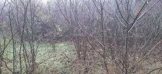 Земельный участок 520 кв.м для садоводства в Ростовской области, Неклиновский район, село Николаевка, СНТ «Колос», участок № 35. Кадастровый номер: 61:26:0513301:35. Площадь: 520 +/- 8 кв.м. Вид разрешенного использования: для ведения садоводства и огородничества. Право собственности…